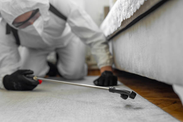 Professional Bed Bug Control technician working in Dover, TN